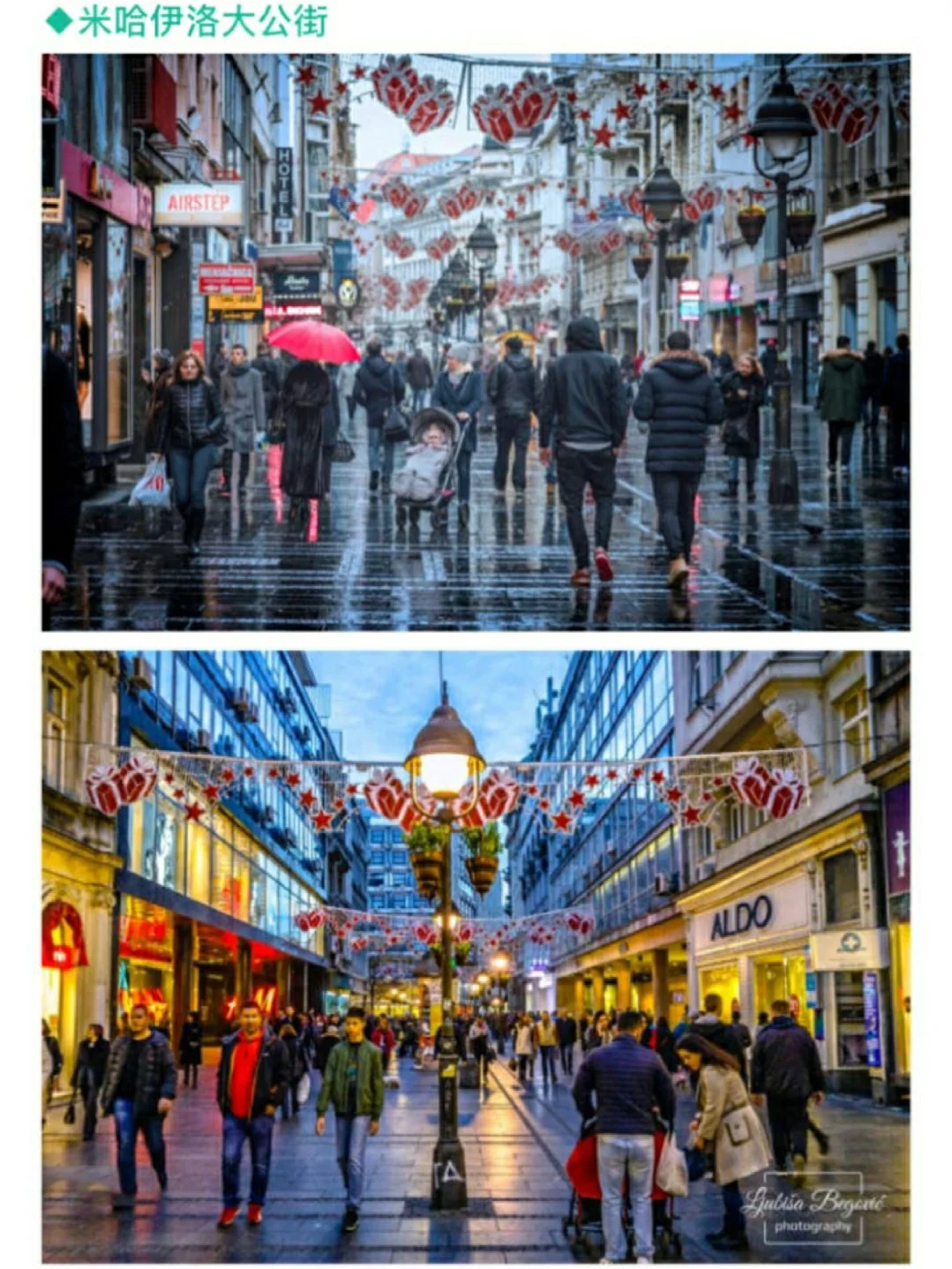 蒙特内哥罗队在欧预赛中硕果累累，黑马闪耀的简单介绍