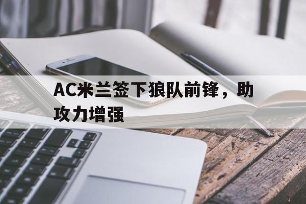 关于AC米兰签下狼队前锋，助攻力增强的信息