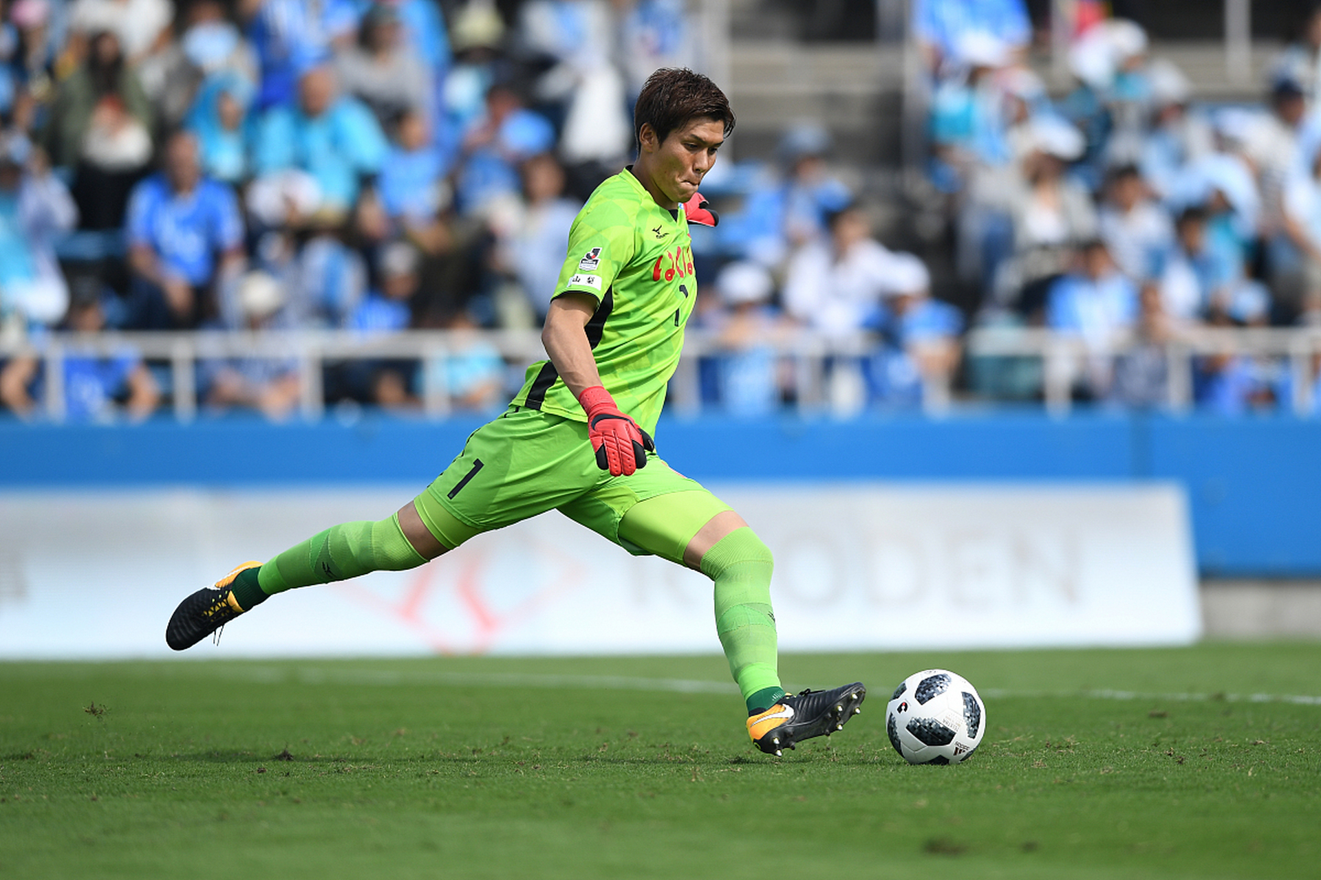 TheShy遭遇七连败，篮网教练面临压力！的简单介绍